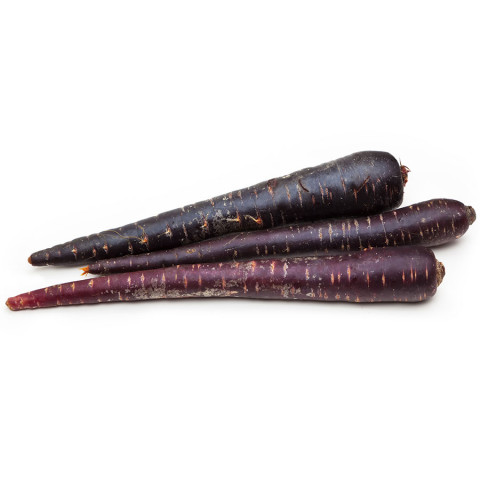 Carrots Purple Large