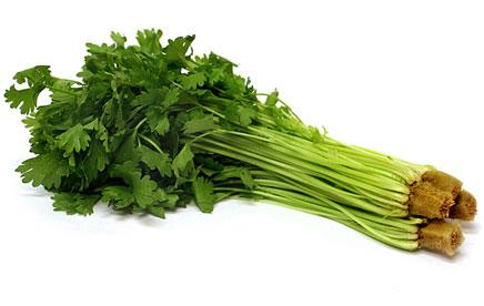 Celery Chinese