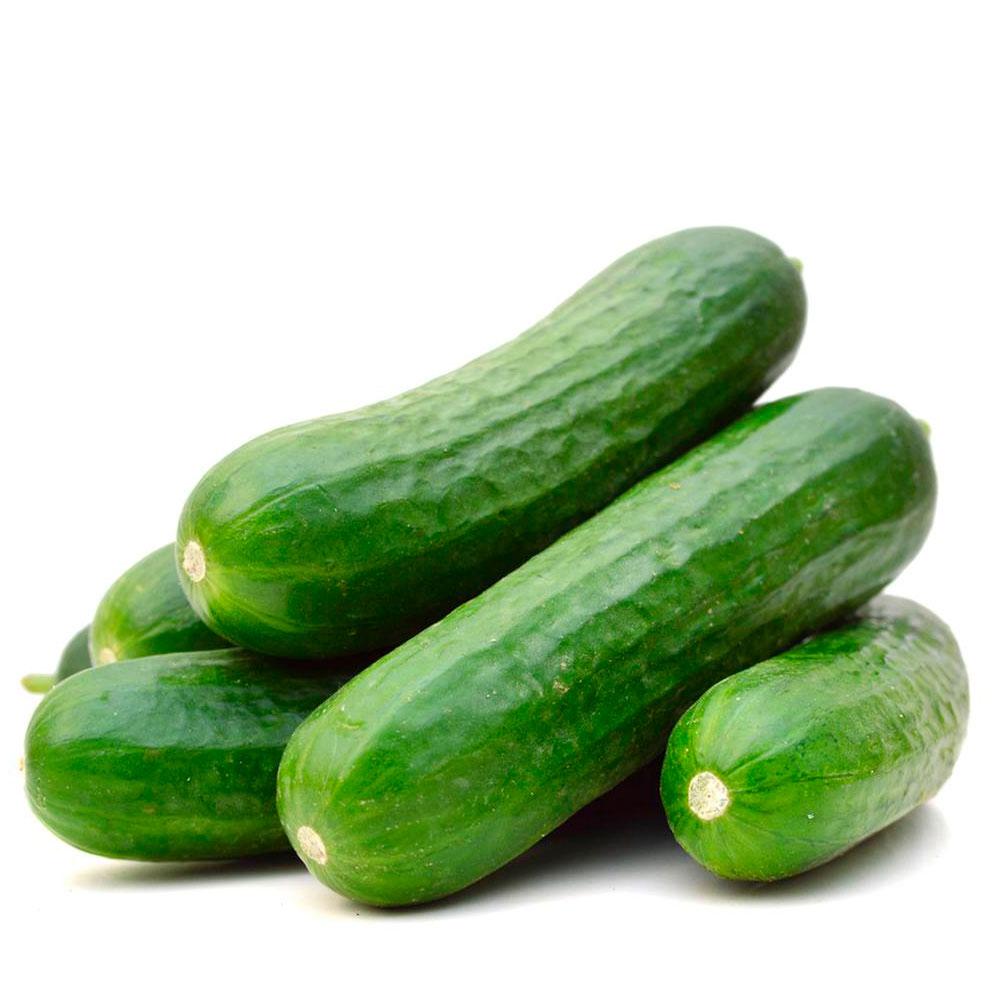 Cucumber Lebanese