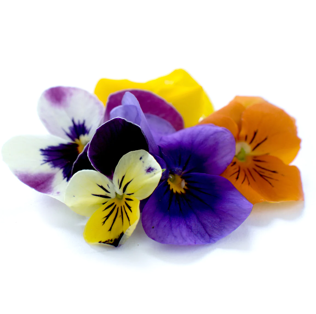 Edible Flowers Viola