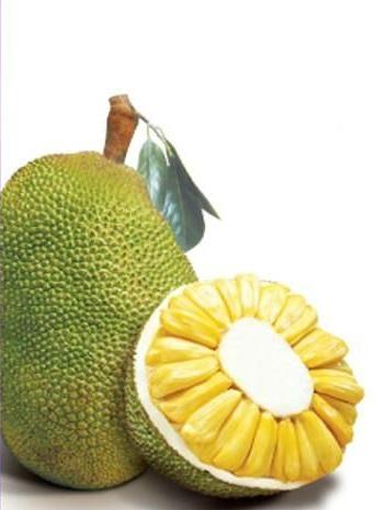 Jackfruit