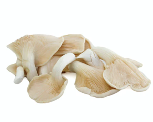 Mushrooms Oyster White 150gm