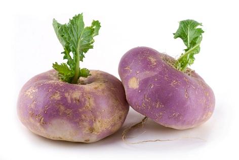 Turnip