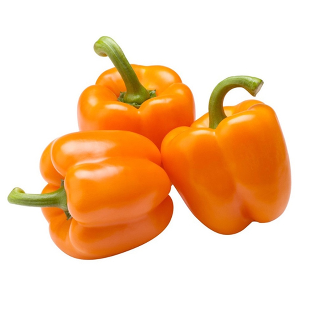 Capsicum Orange