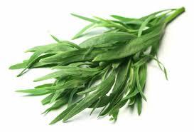 Tarragon 20gm