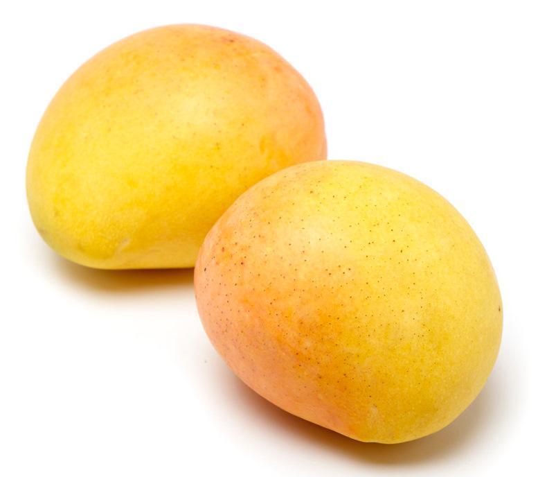 Mangoes KP