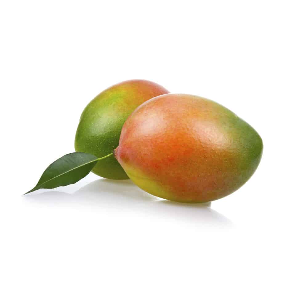 Mangoes Keitt bulk