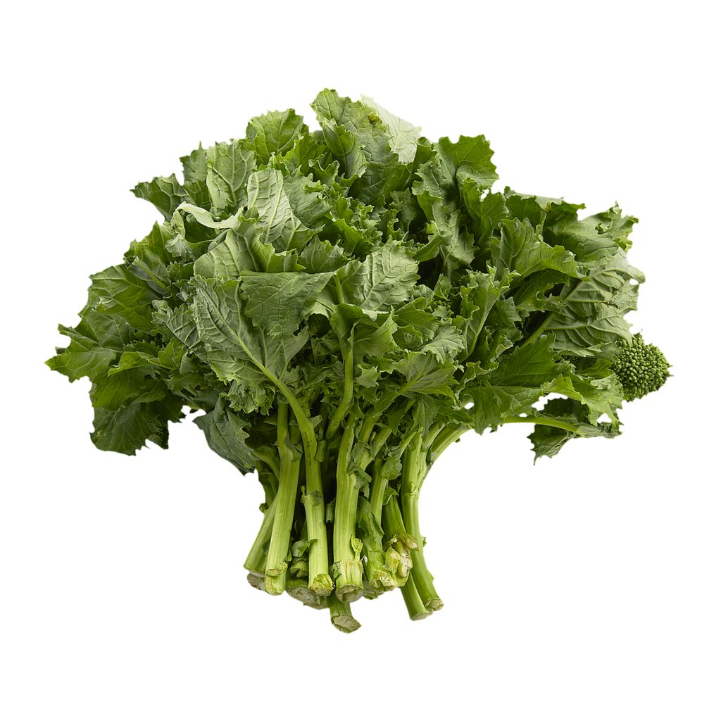 Rapini