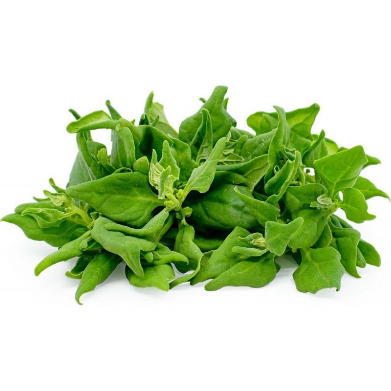 Warrigal Greens