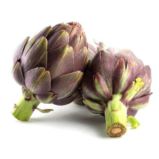 Artichoke Globe Purple