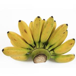 Bananas Ducasse