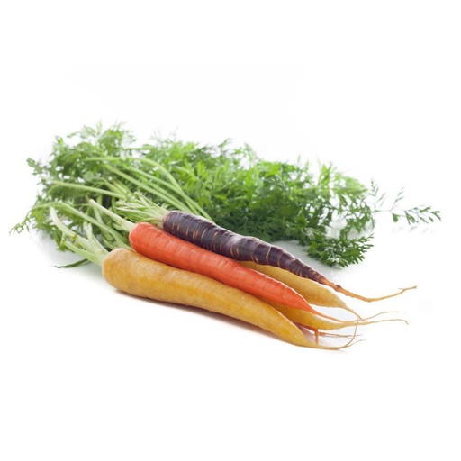 Carrots Dutch Heirloom