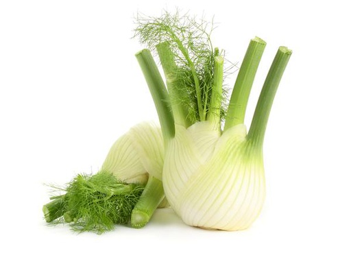 Fennel Baby