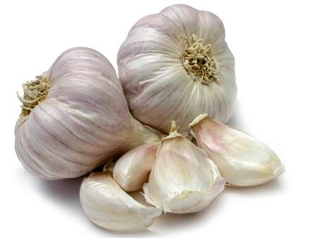 Garlic Whole