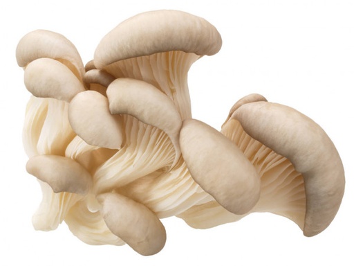 Mushrooms Pearl 400gm