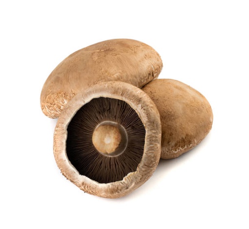 Mushrooms Swiss Flat S