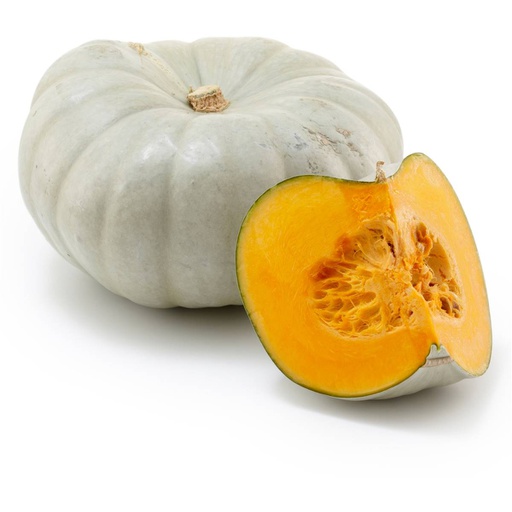 Pumpkin Grey