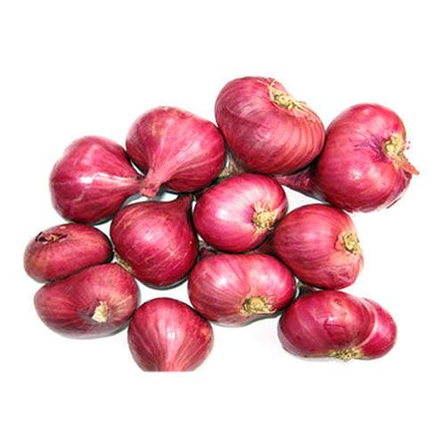 Shallot Red