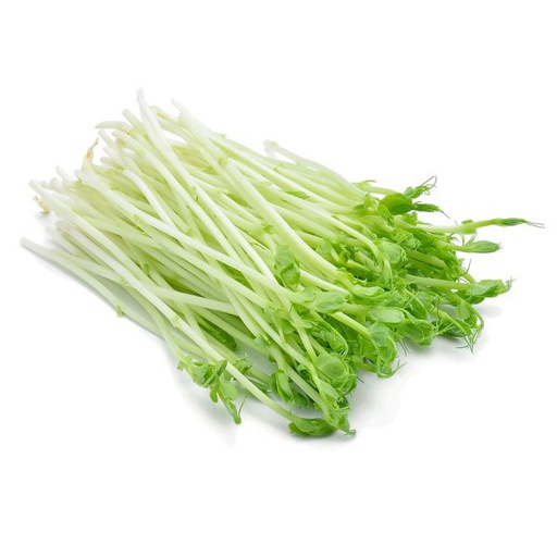 Snow Pea Shoot 100gm