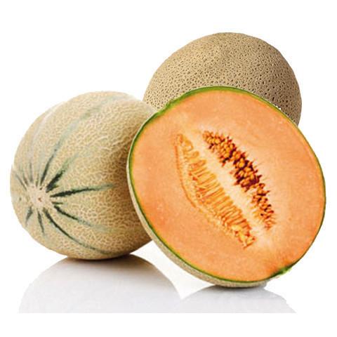 Melon Rockmelon