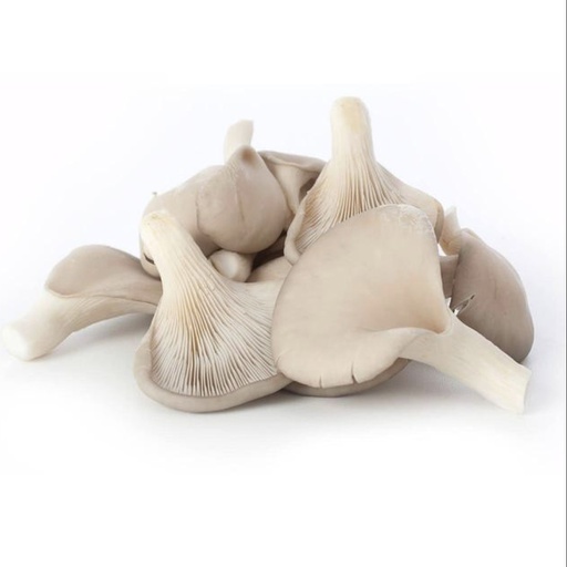 Mushrooms Oyster Grey 150gm