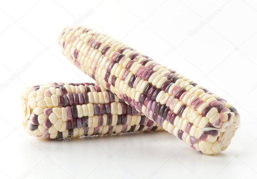 Corn Waxy