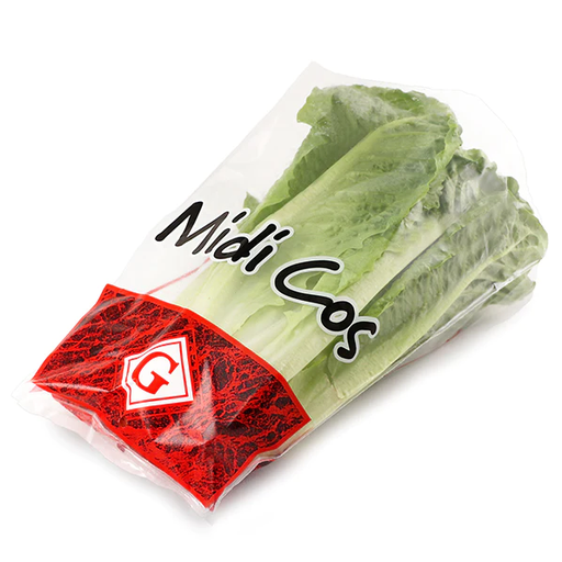 Lettuce Cos Midi