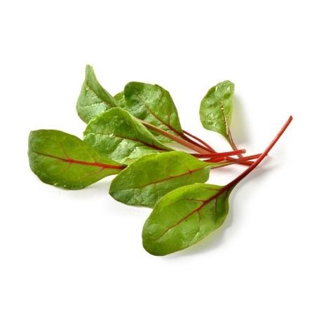 Chard 1.5kg