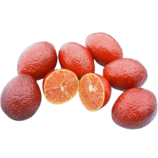 Lime Blood Frozen 500gm