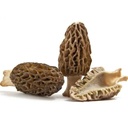 Mushrooms Morel kg